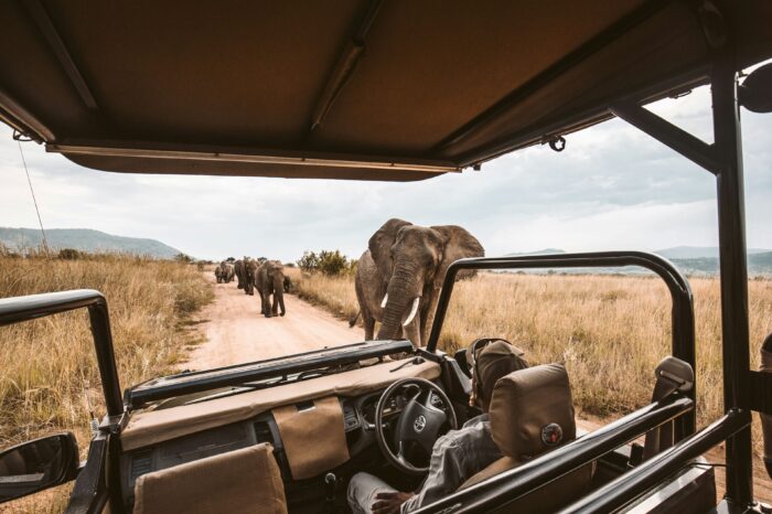 Arusha National Park