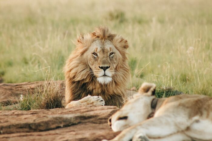 Tarangire National Park